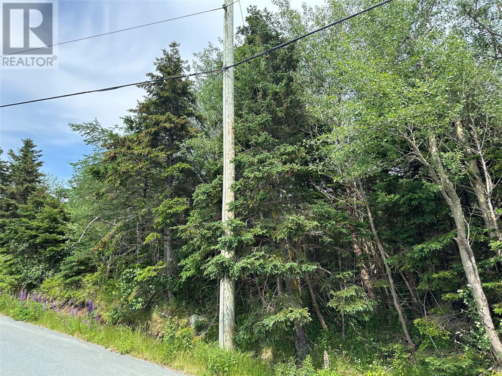 16 Ridge Road, Holyrood, Newfoundland & Labrador  A0A 2R0 - Photo 45 - 1298934