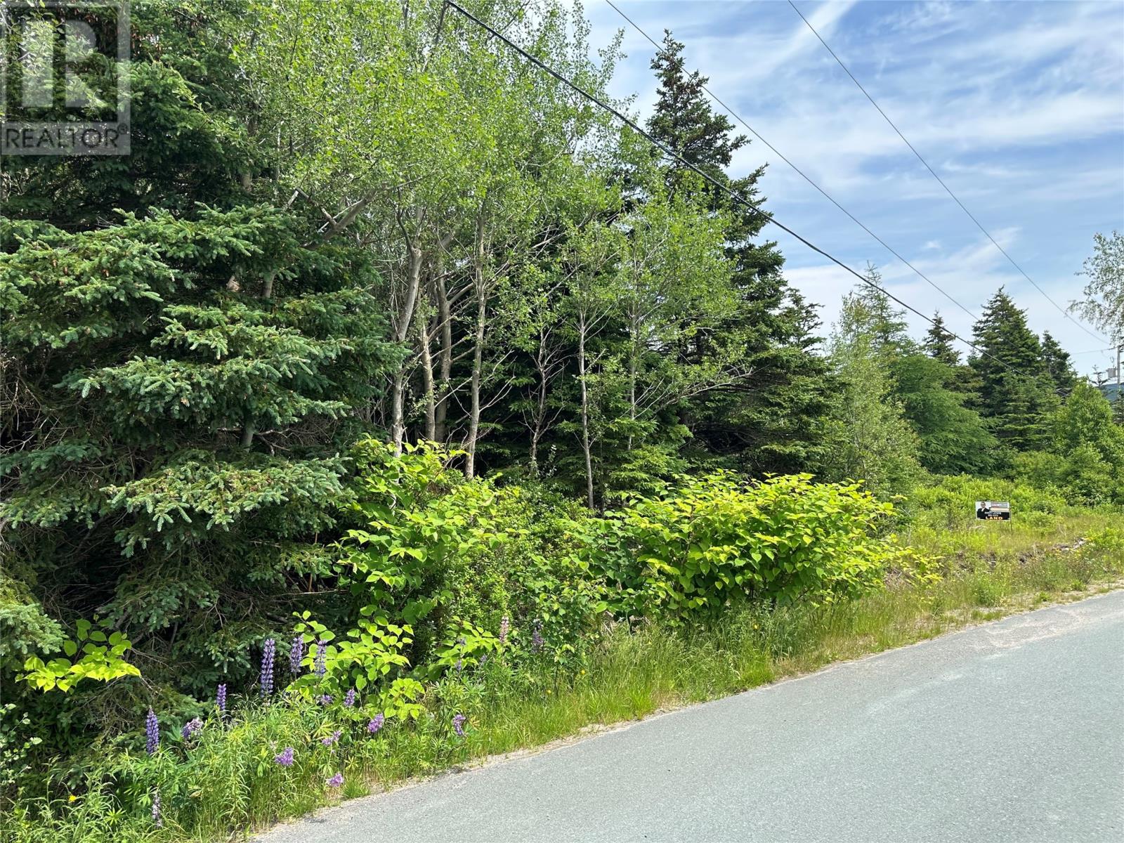 16 Ridge Road, Holyrood, Newfoundland & Labrador  A0A 2R0 - Photo 47 - 1298934