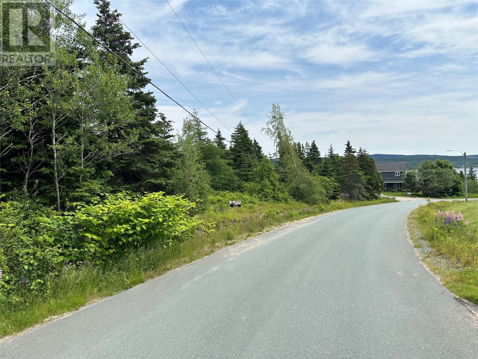 16 Ridge Road, Holyrood, Newfoundland & Labrador  A0A 2R0 - Photo 48 - 1298934