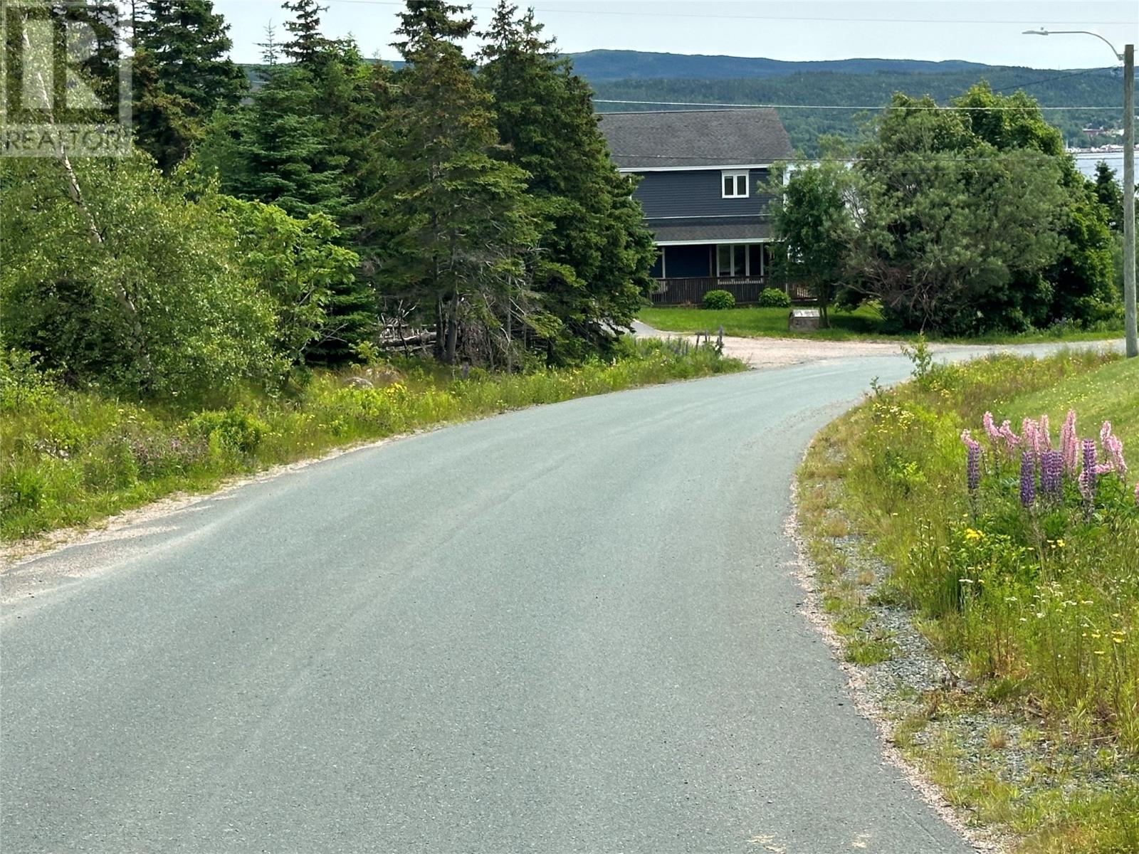 16 Ridge Road, Holyrood, Newfoundland & Labrador  A0A 2R0 - Photo 50 - 1298934