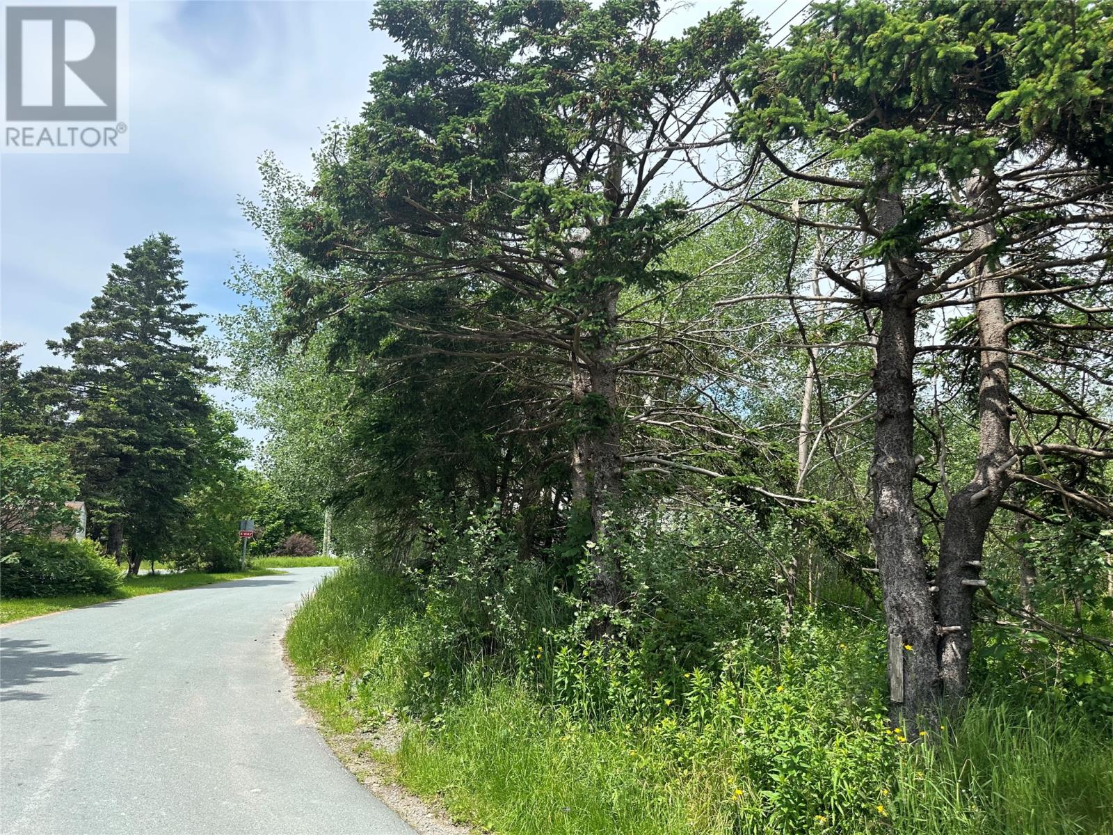 16 Ridge Road, Holyrood, Newfoundland & Labrador  A0A 2R0 - Photo 7 - 1298934