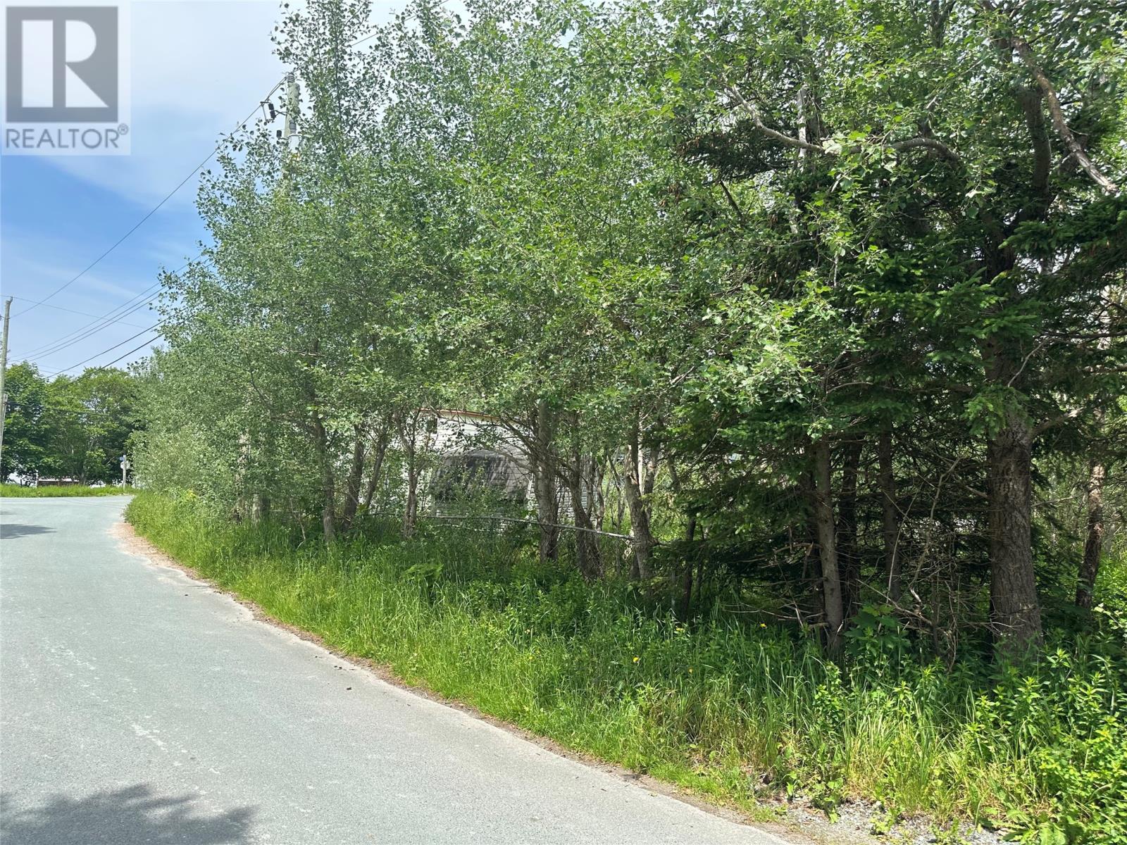 16 Ridge Road, Holyrood, Newfoundland & Labrador  A0A 2R0 - Photo 8 - 1298934