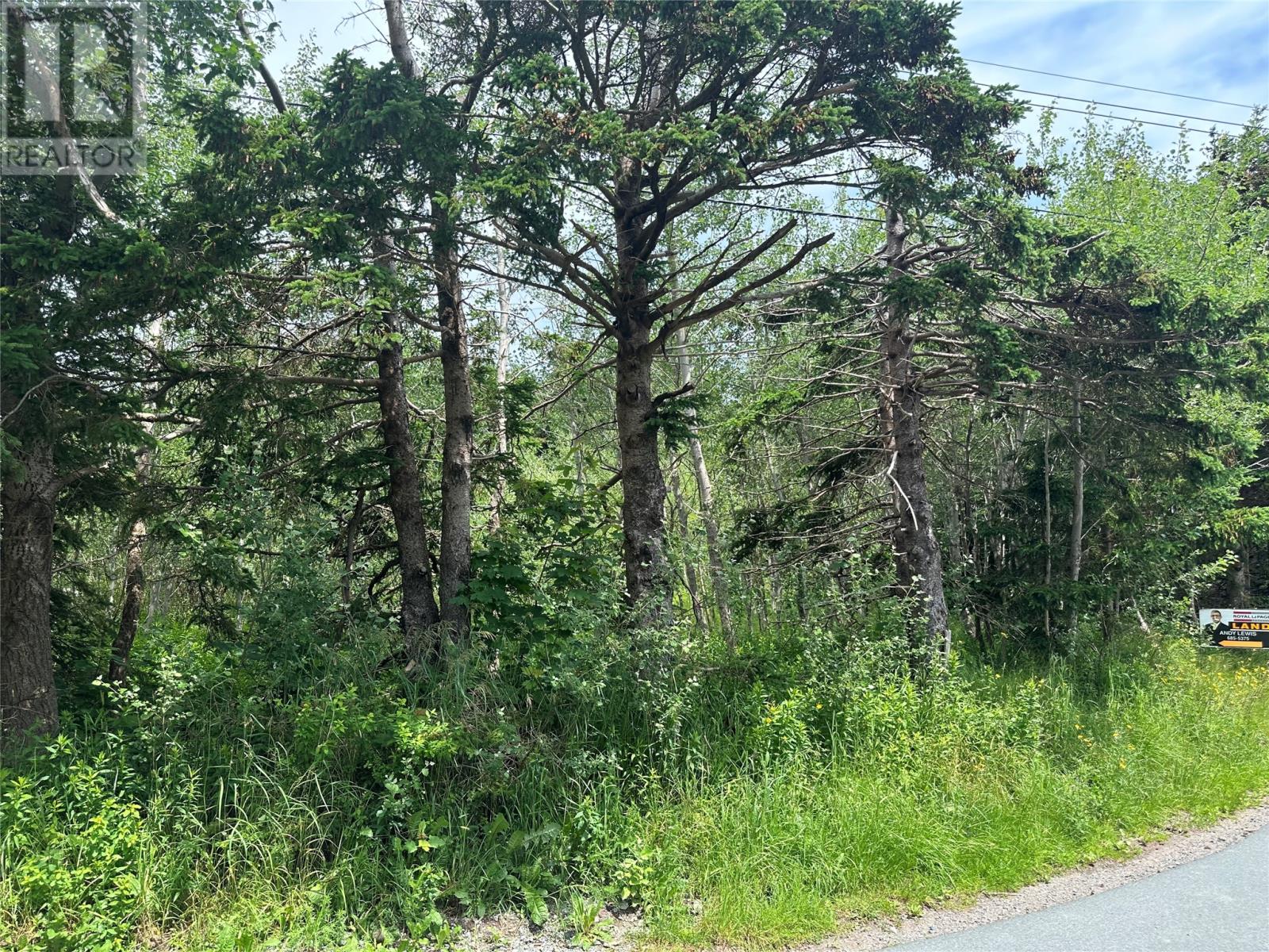 16 Ridge Road, Holyrood, Newfoundland & Labrador  A0A 2R0 - Photo 9 - 1298934