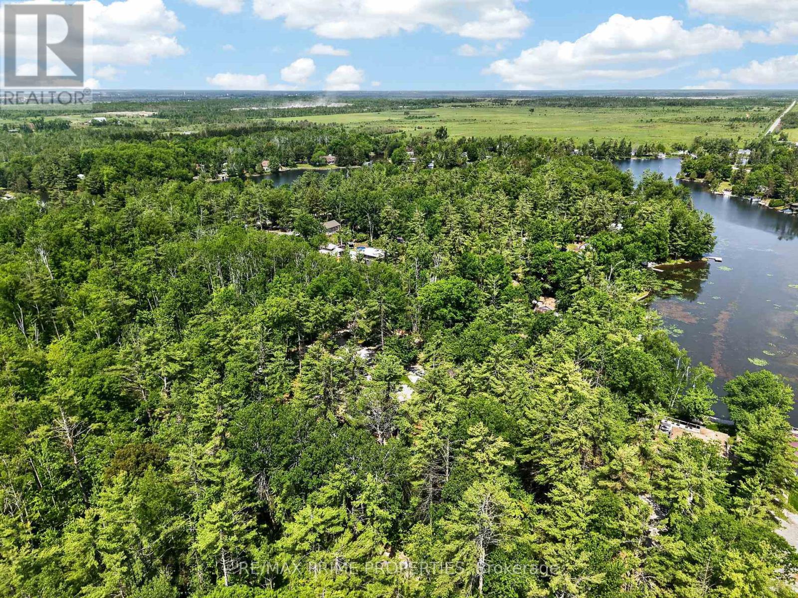 133 Stanley Road, Kawartha Lakes, Ontario K0M 2T0 - Photo 35 - X13427686