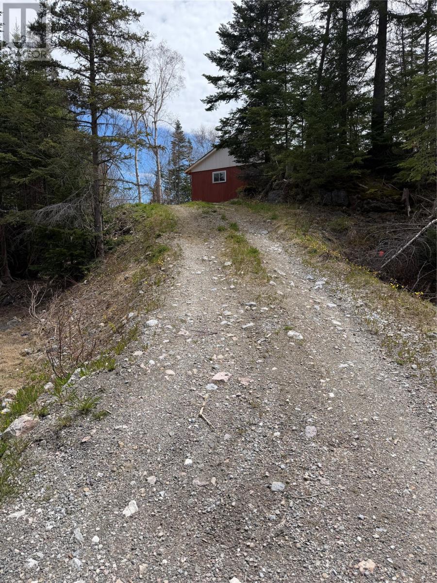 26 Pinchgut Road, Pinchgut Lake, Newfoundland & Labrador