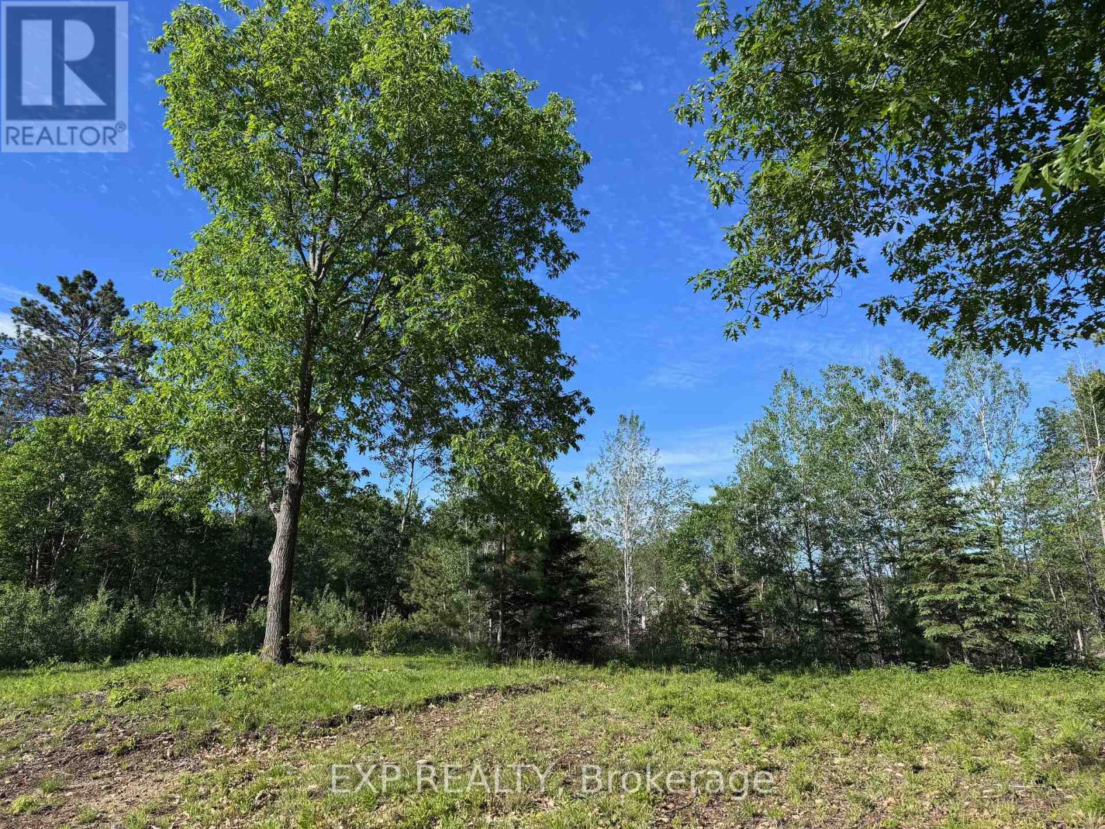 71 Yantha Crescent, Madawaska Valley, Ontario  K0J 1B0 - Photo 4 - X13446658