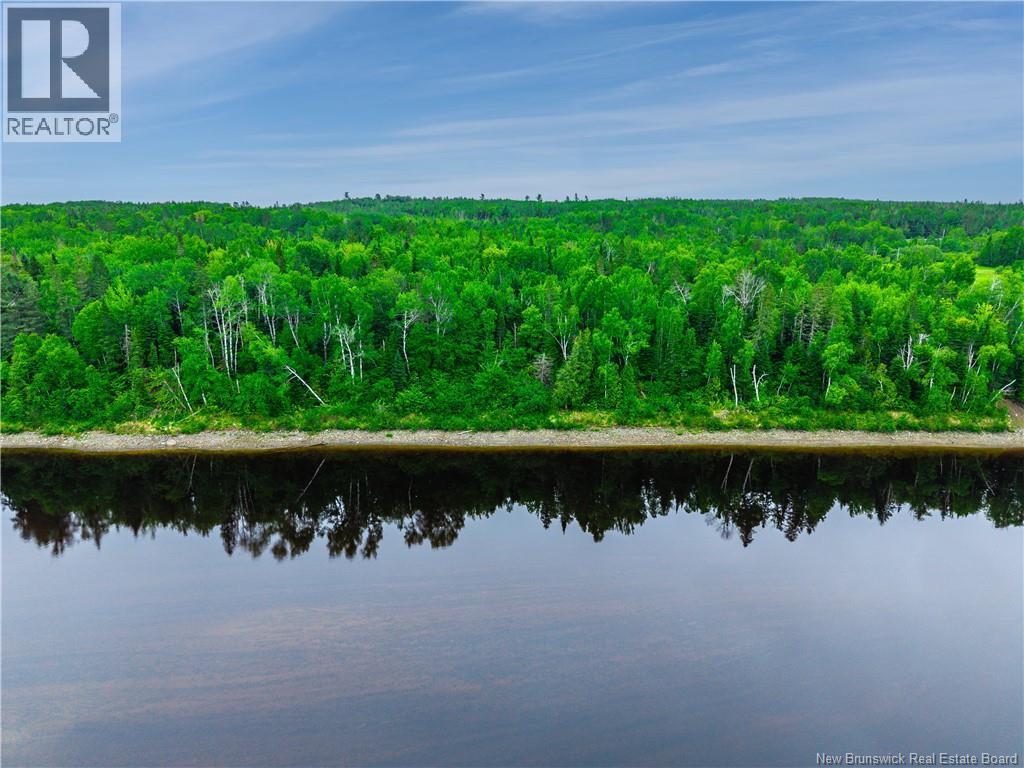 Route 118, Doyles Brook, New Brunswick  E9E 2J3 - Photo 9 - NB140536