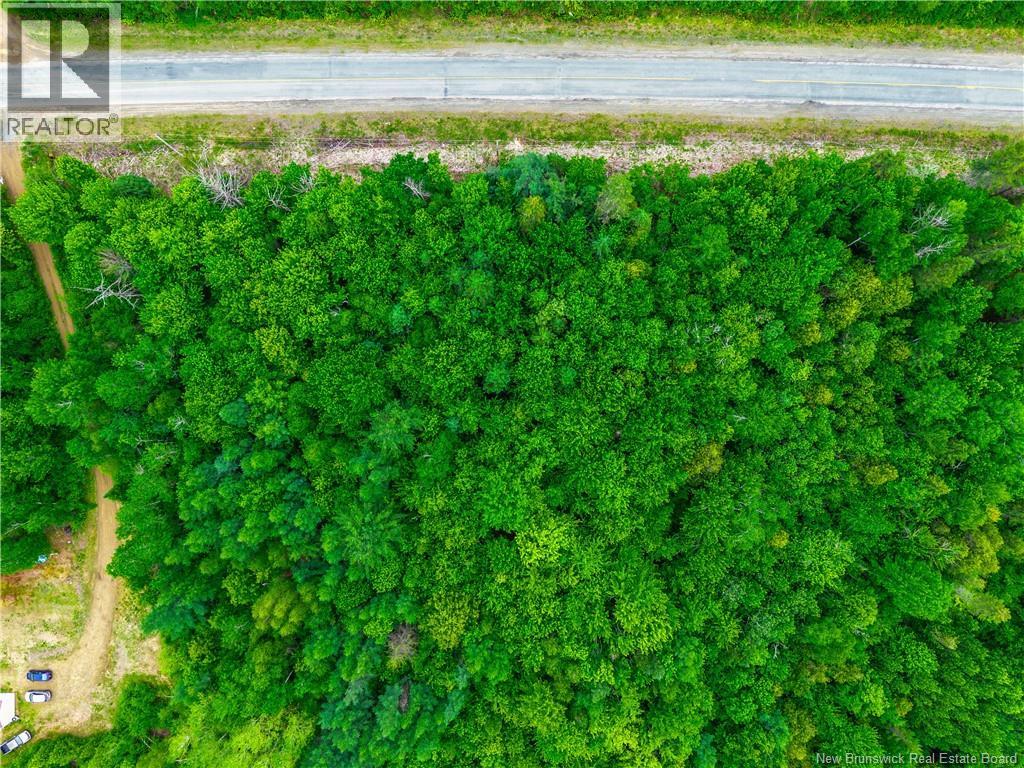 Route 118, Doyles Brook, New Brunswick  E9E 2J3 - Photo 14 - NB140536