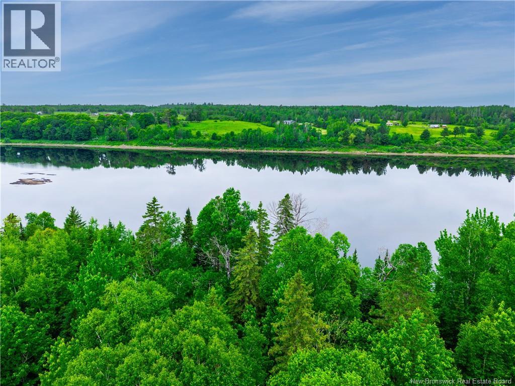 Route 118, Doyles Brook, New Brunswick  E9E 2J3 - Photo 16 - NB140536