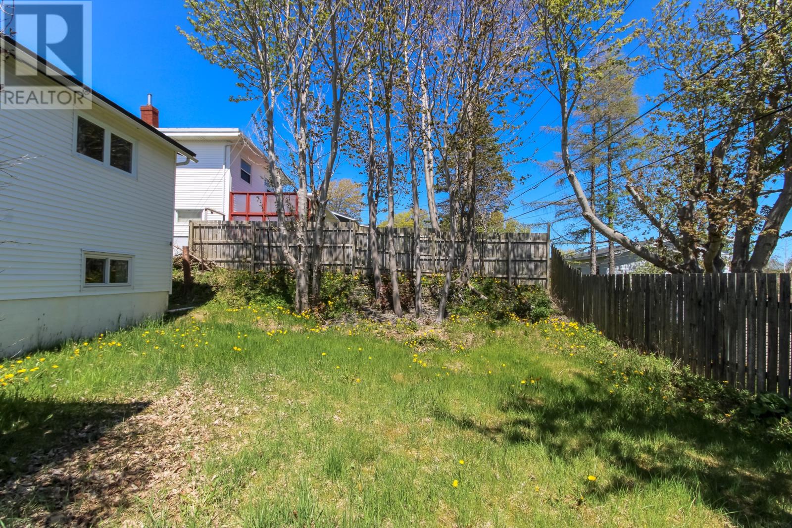 93 Canada Drive, St. John's, Newfoundland & Labrador  A1E 2M6 - Photo 3 - 1297037