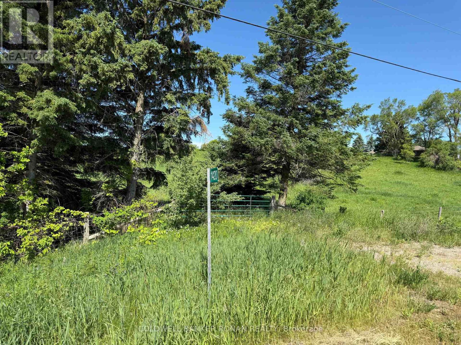 1420 COUNTY ROAD 50, Adjala-Tosorontio, Ontario