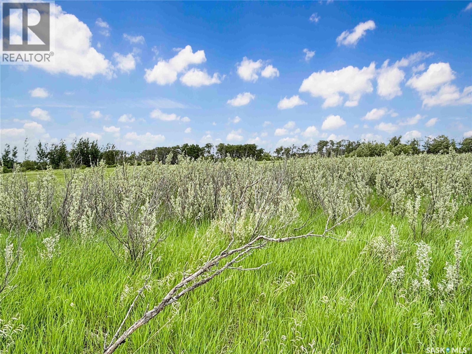 Martens Acreage, Eagle Creek Rm No. 376, Saskatchewan S0K 0J0 - Photo 49 - SK039387