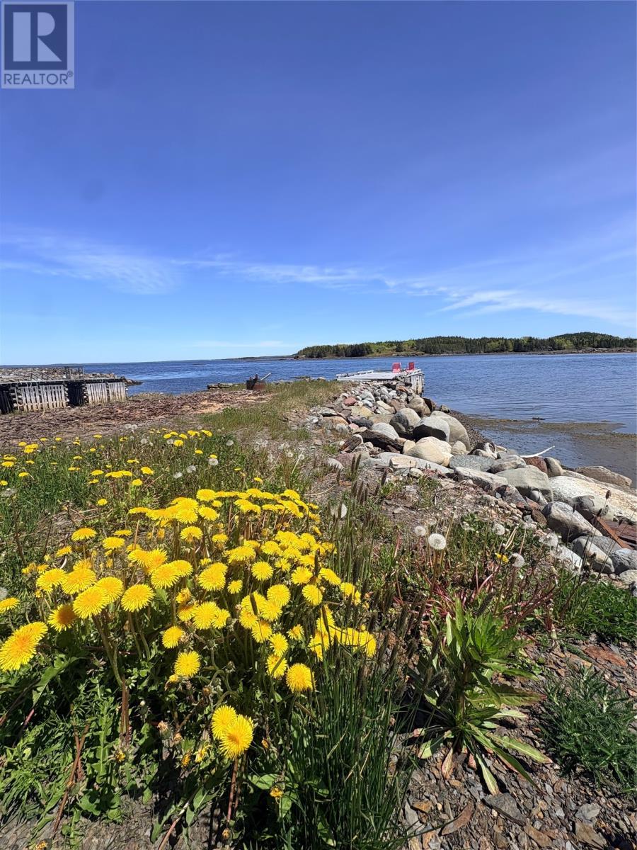 115 Main Street, Embree, Newfoundland & Labrador  A0G 3A0 - Photo 45 - 1298878