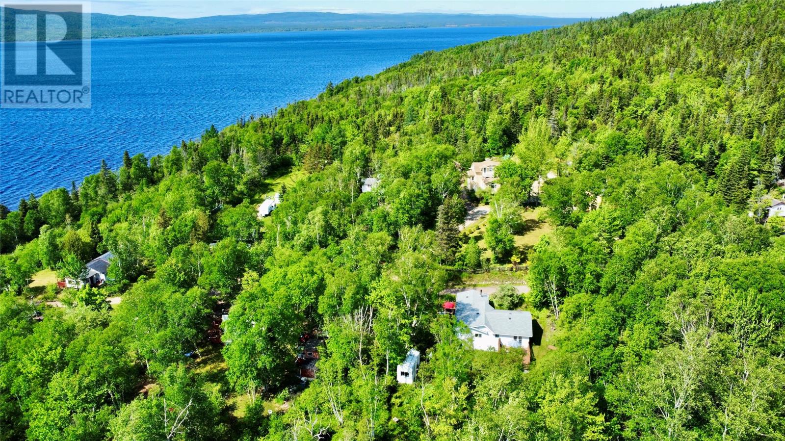 55 Trans Canada Highway, Pynns Brook, Newfoundland & Labrador  A8A 3B1 - Photo 35 - 1298978