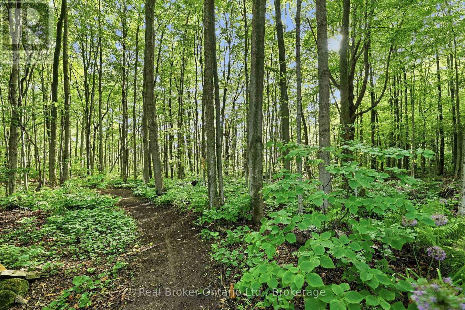 805500 25 Side Road, Grey Highlands, Ontario  N4L 1W6 - Photo 33 - X13440310