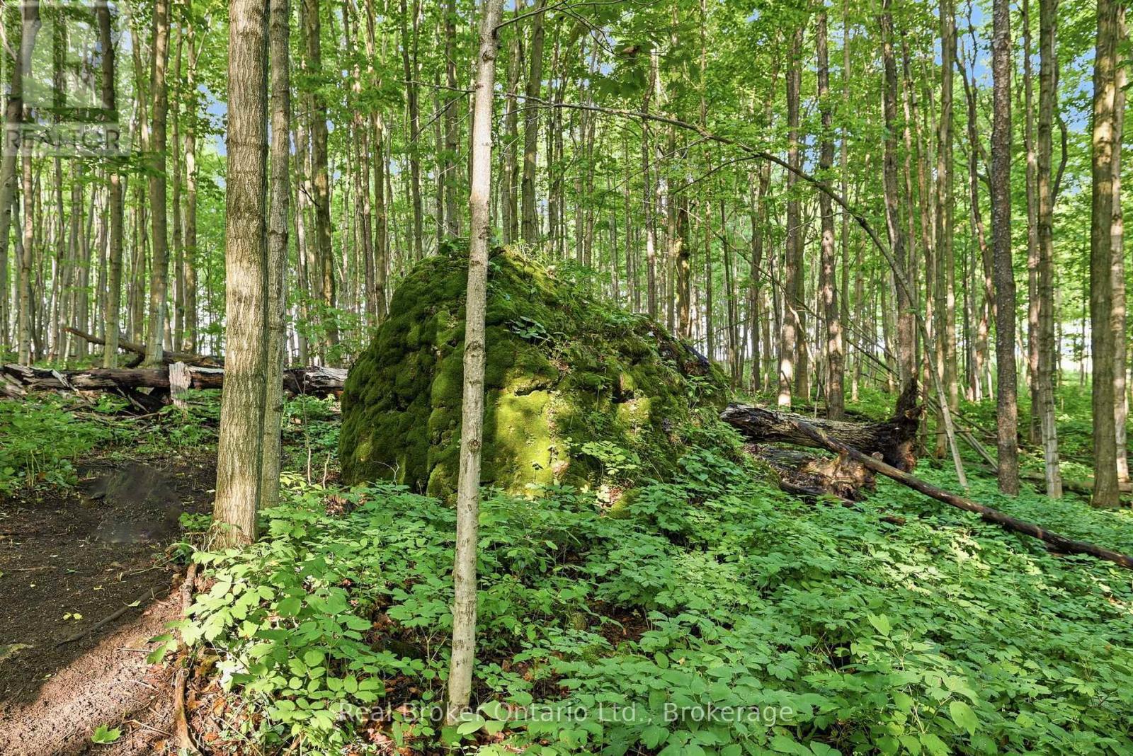 805500 25 Side Road, Grey Highlands, Ontario  N4L 1W6 - Photo 34 - X13440310