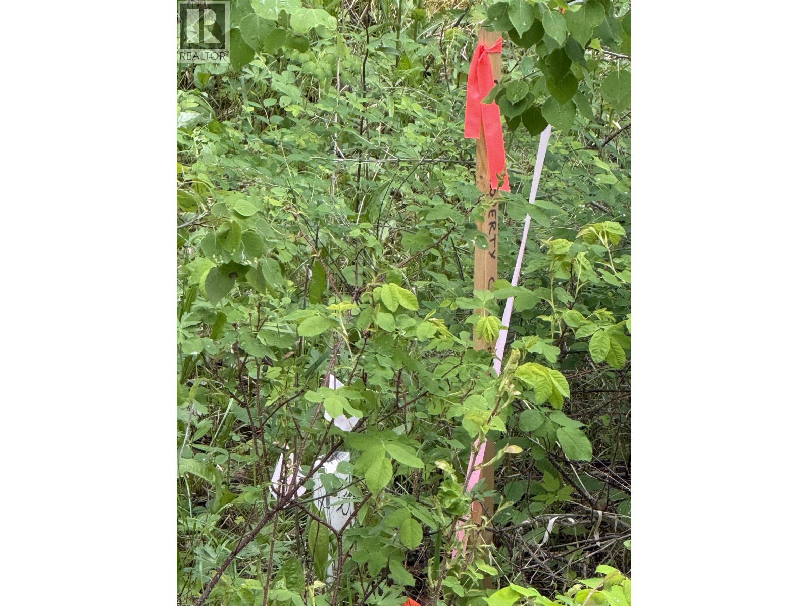 Lot 2 Grossett Road, Lone Butte, British Columbia  V0K 1X2 - Photo 28 - R3135725