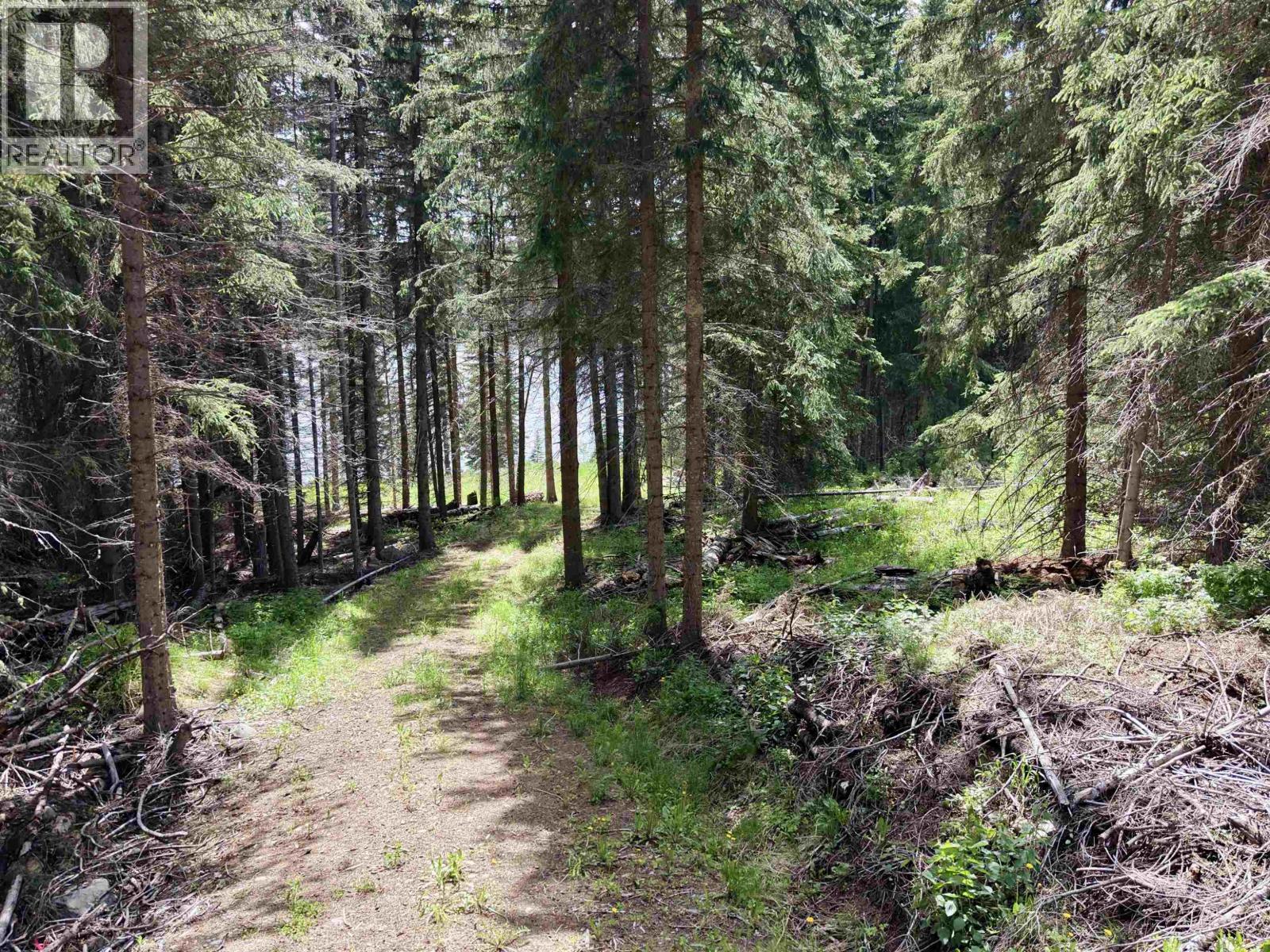 Lot 2 Grossett Road, Lone Butte, British Columbia  V0K 1X2 - Photo 18 - R3135725