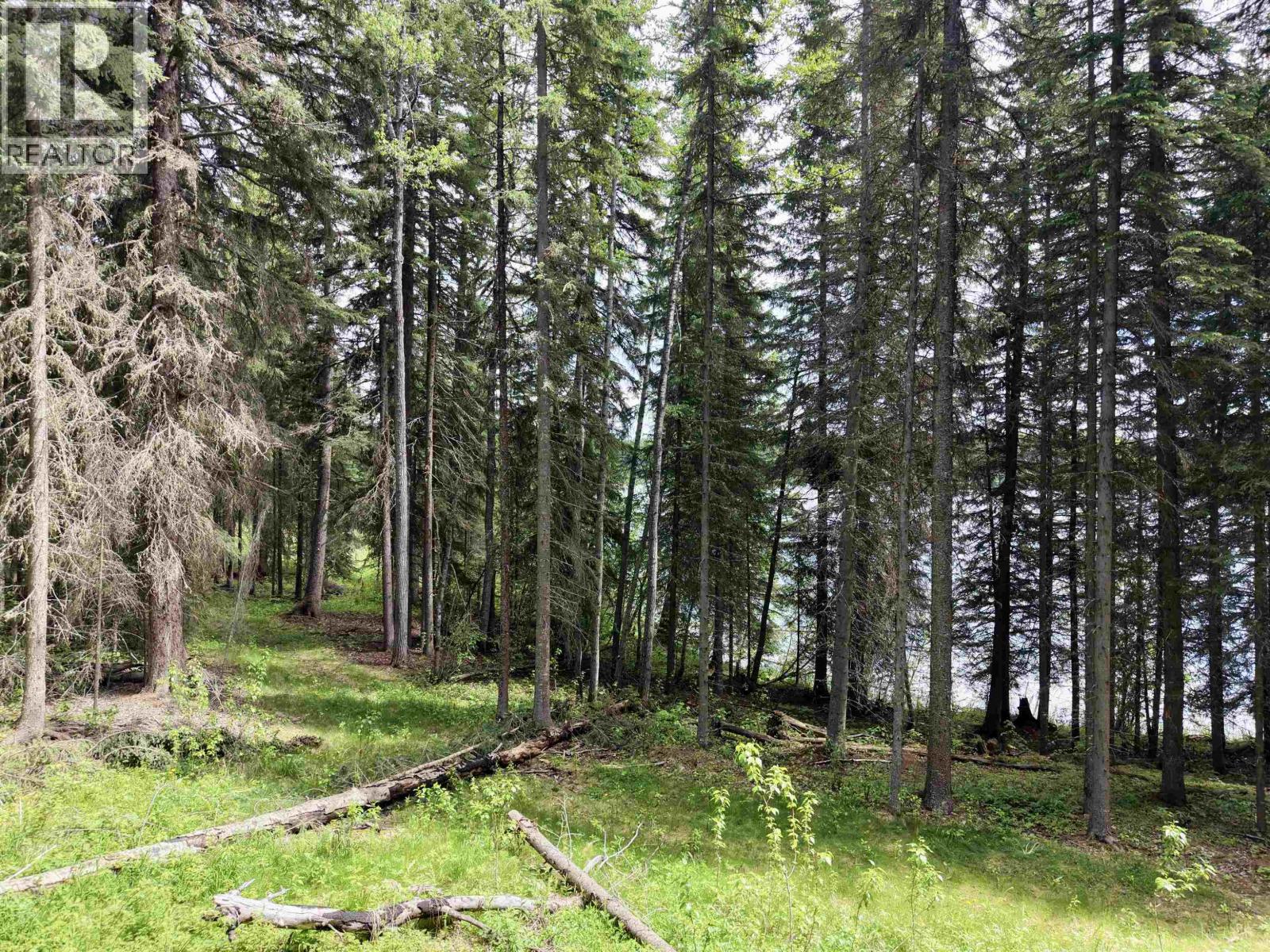 Lot 2 Grossett Road, Lone Butte, British Columbia  V0K 1X2 - Photo 17 - R3135725