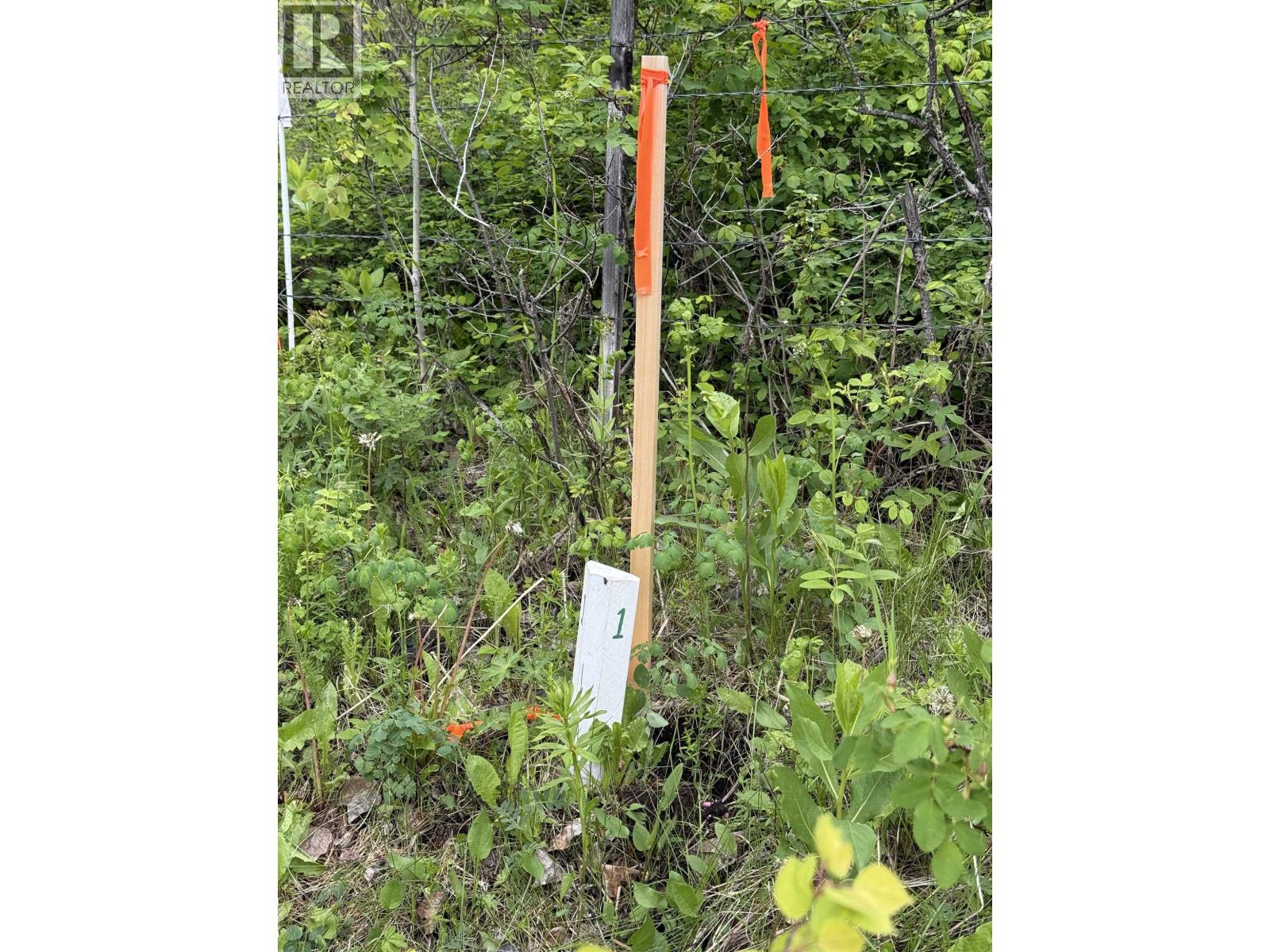 Lot 2 Grossett Road, Lone Butte, British Columbia  V0K 1X2 - Photo 27 - R3135725