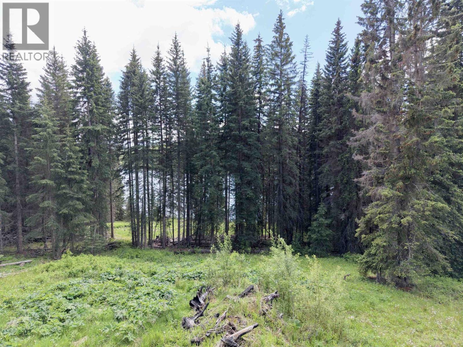 Lot 2 Grossett Road, Lone Butte, British Columbia  V0K 1X2 - Photo 9 - R3135725