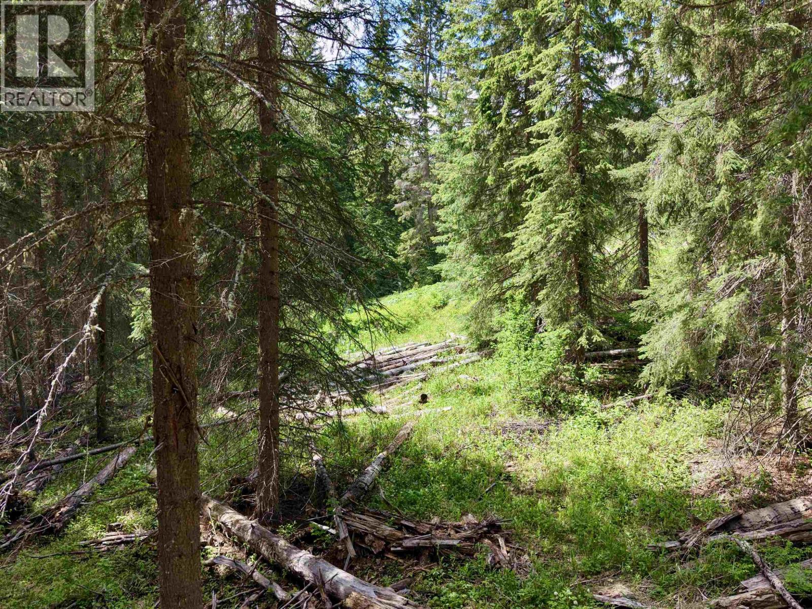 Lot 2 Grossett Road, Lone Butte, British Columbia  V0K 1X2 - Photo 20 - R3135725