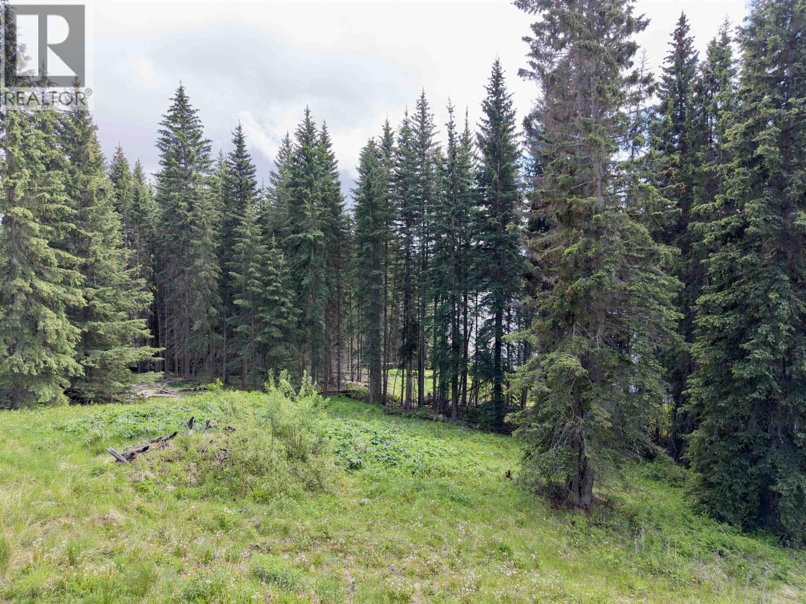 Lot 2 Grossett Road, Lone Butte, British Columbia  V0K 1X2 - Photo 8 - R3135725
