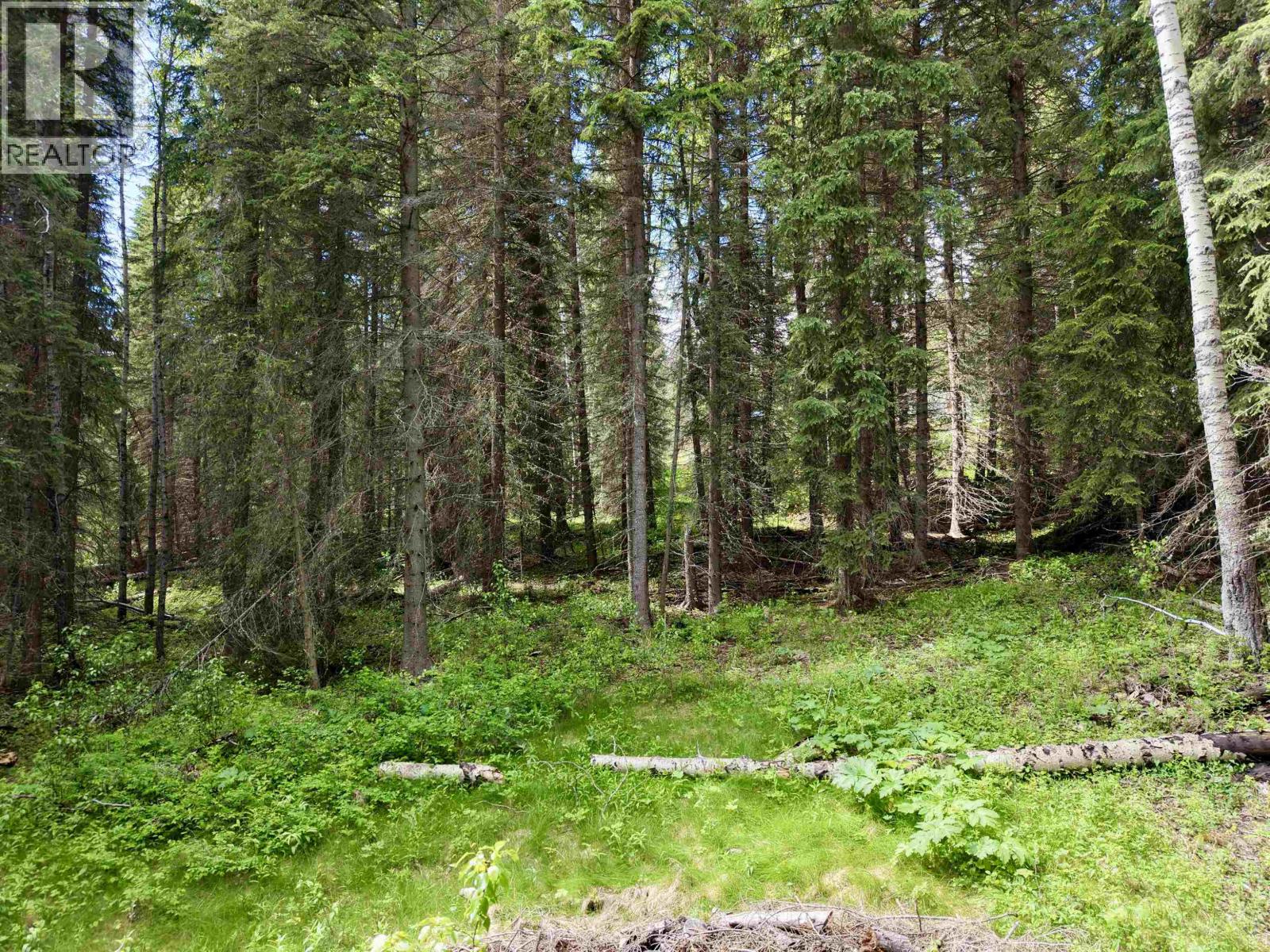 Lot 2 Grossett Road, Lone Butte, British Columbia  V0K 1X2 - Photo 16 - R3135725