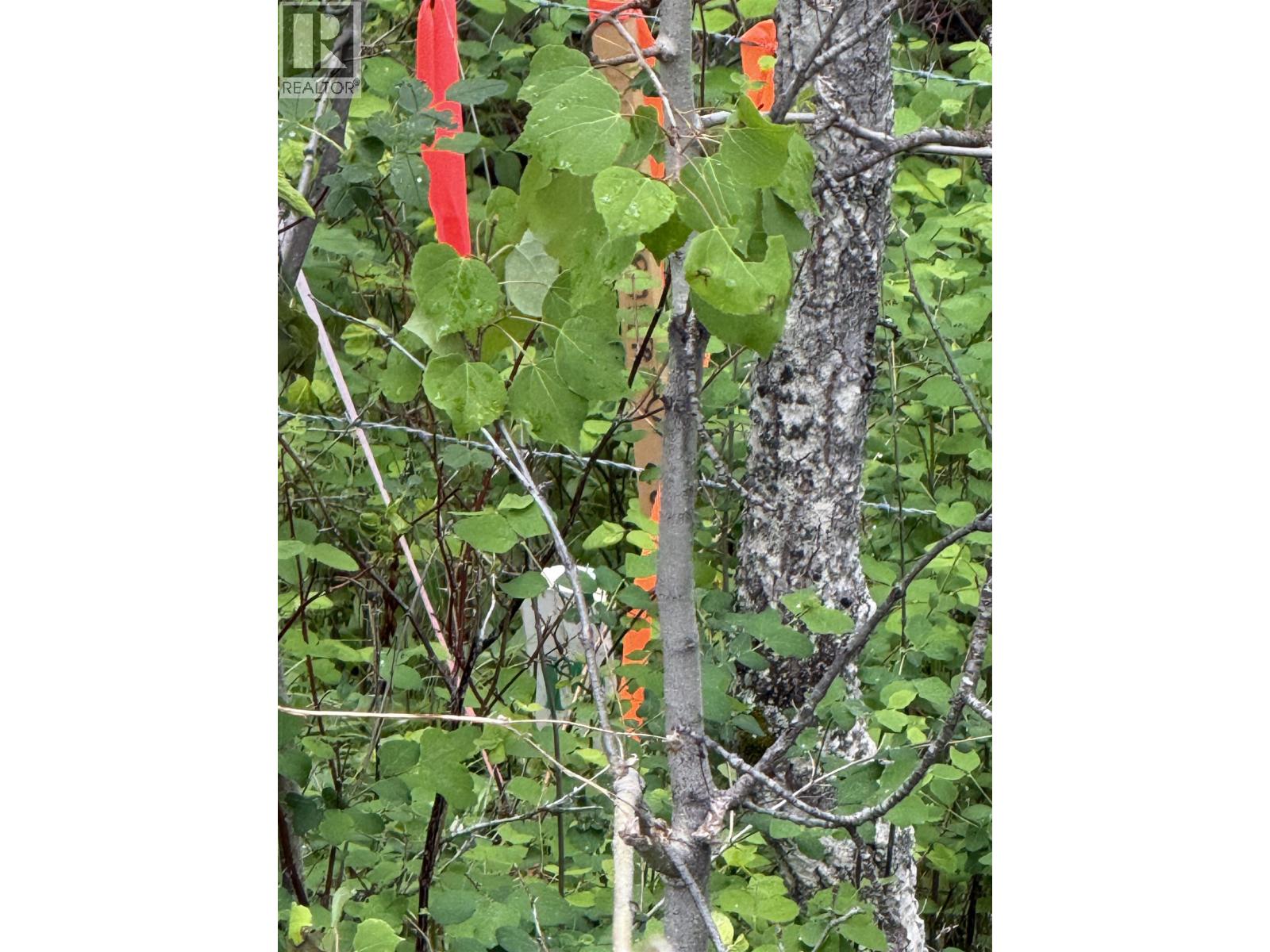 Lot 2 Grossett Road, Lone Butte, British Columbia  V0K 1X2 - Photo 29 - R3135725