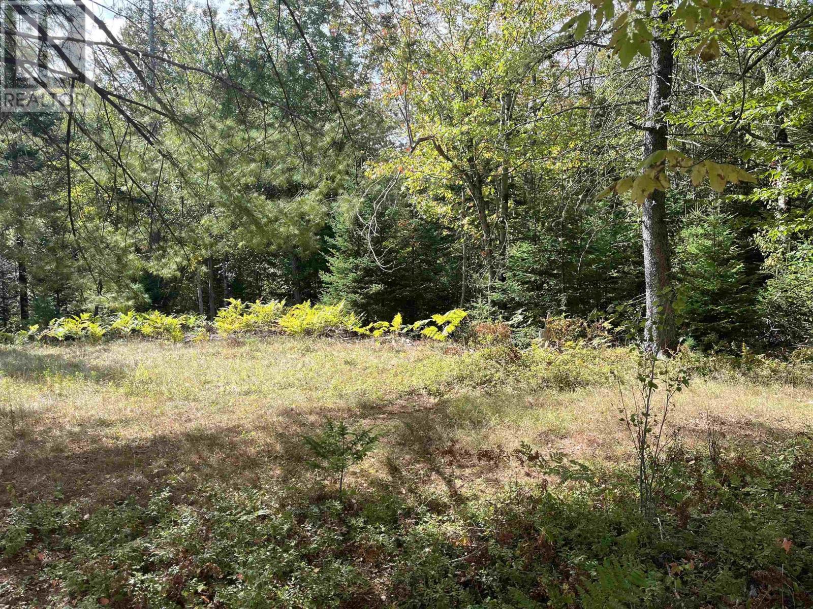 Block A Highway 325, West Clifford, Nova Scotia  B4V 8J2 - Photo 1 - 202524362