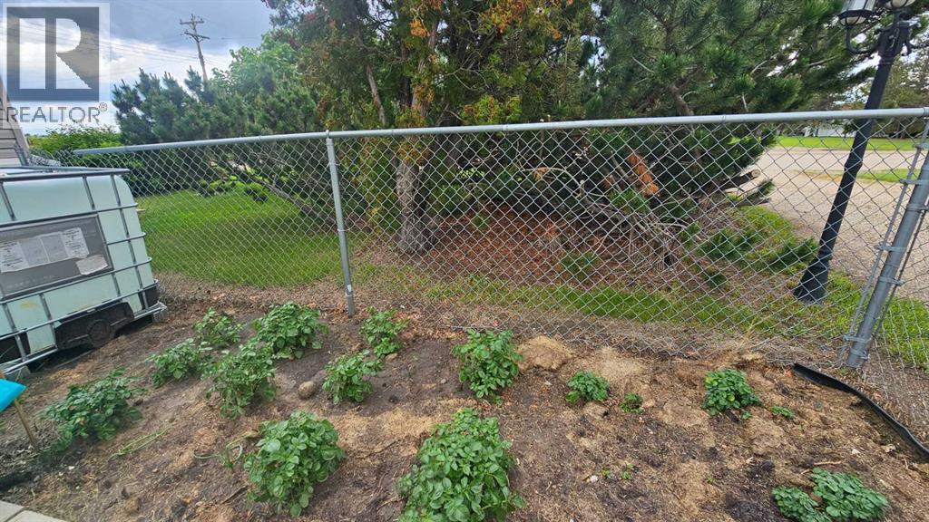 picture 40
