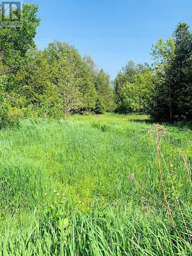 Pl23-24c3 Mills Indian Point Road, Evansville, Ontario P0P 1E0 - Photo 14 - 2128339