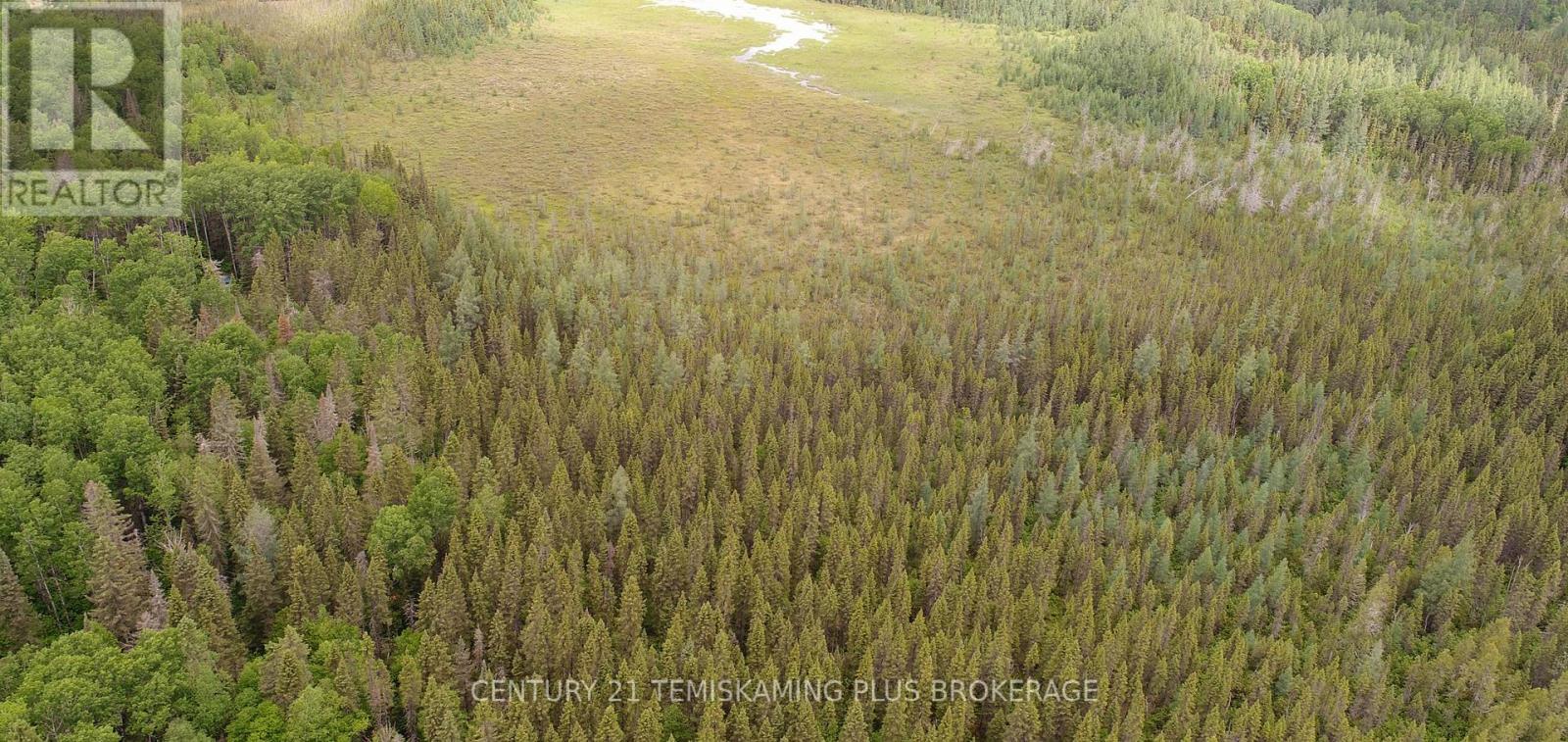 Pcl 17224 North Skead Bayly Road, Kirkland Lake, Ontario  P0K 1L0 - Photo 10 - T13447716