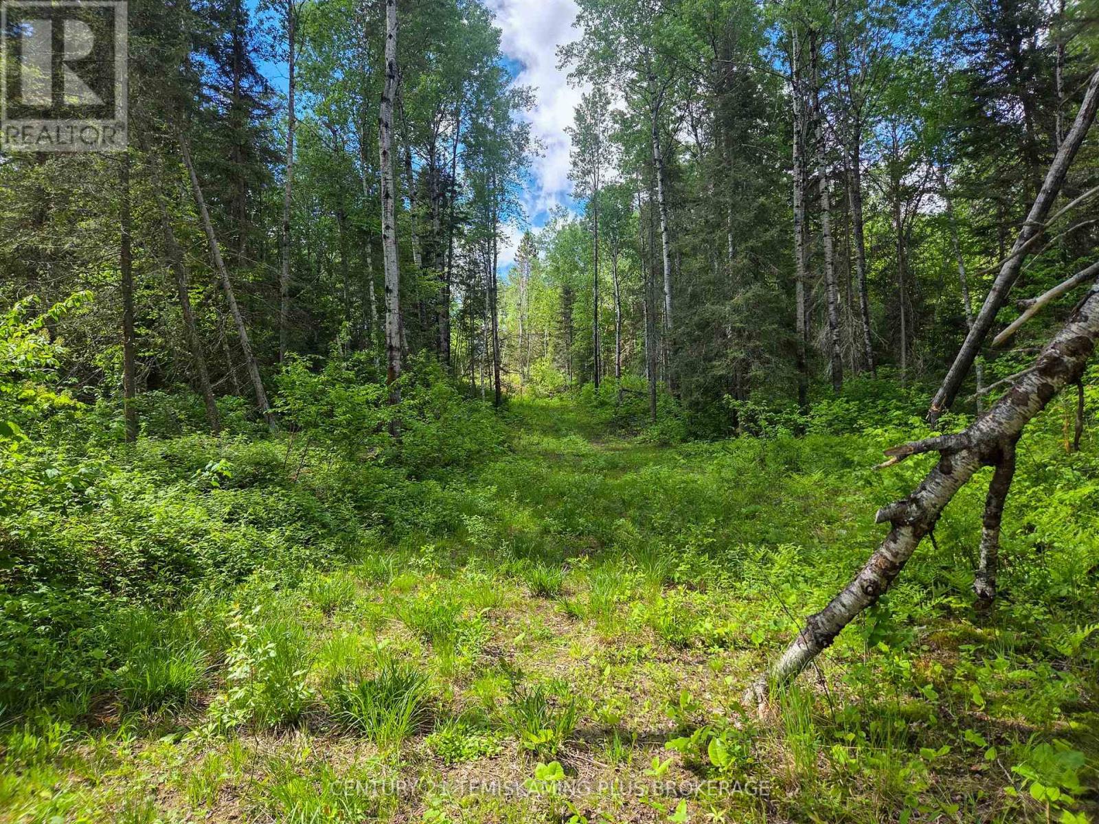 Pcl 17224 North Skead Bayly Road, Kirkland Lake, Ontario  P0K 1L0 - Photo 15 - T13447716