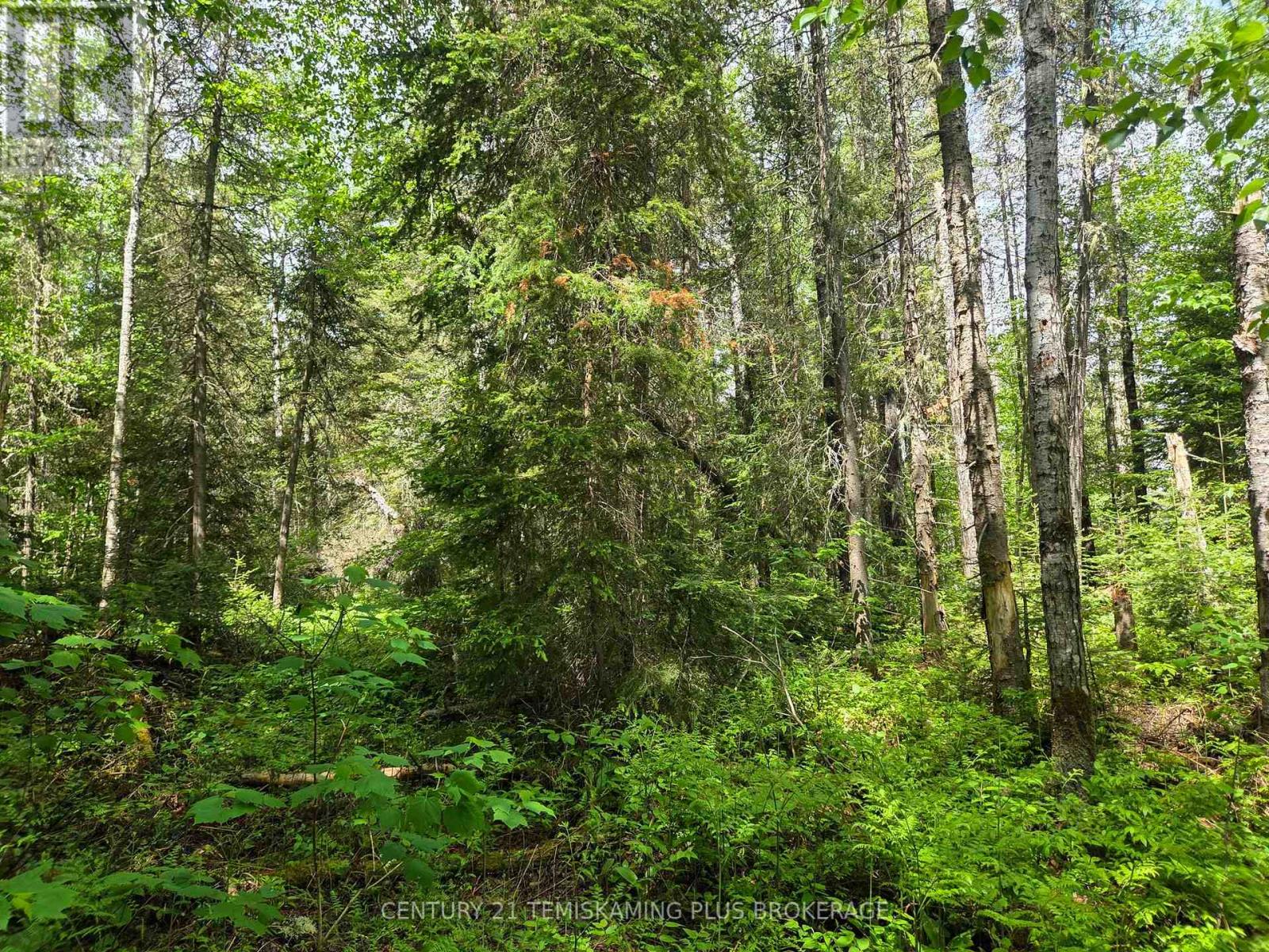 Pcl 17224 North Skead Bayly Road, Kirkland Lake, Ontario  P0K 1L0 - Photo 19 - T13447716