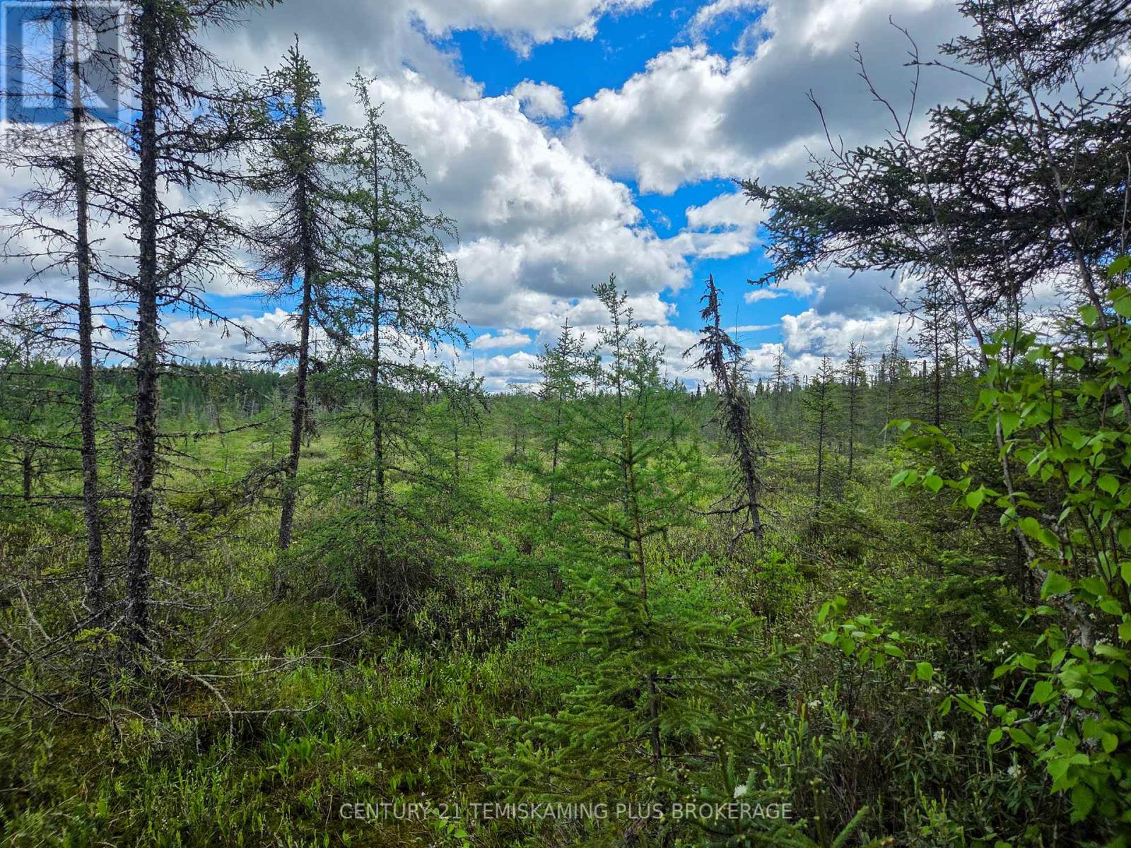 Pcl 17224 North Skead Bayly Road, Kirkland Lake, Ontario  P0K 1L0 - Photo 20 - T13447716