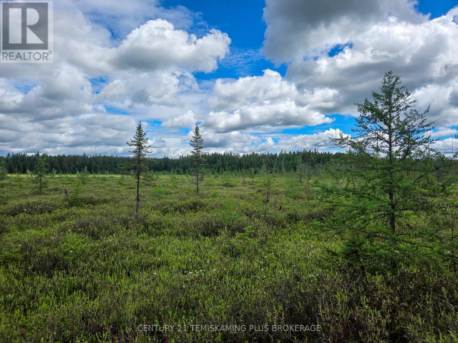 Pcl 17224 North Skead Bayly Road, Kirkland Lake, Ontario  P0K 1L0 - Photo 21 - T13447716