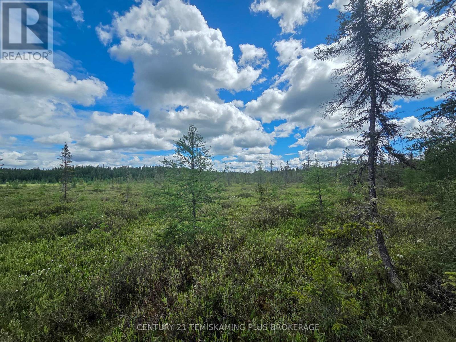 Pcl 17224 North Skead Bayly Road, Kirkland Lake, Ontario  P0K 1L0 - Photo 22 - T13447716