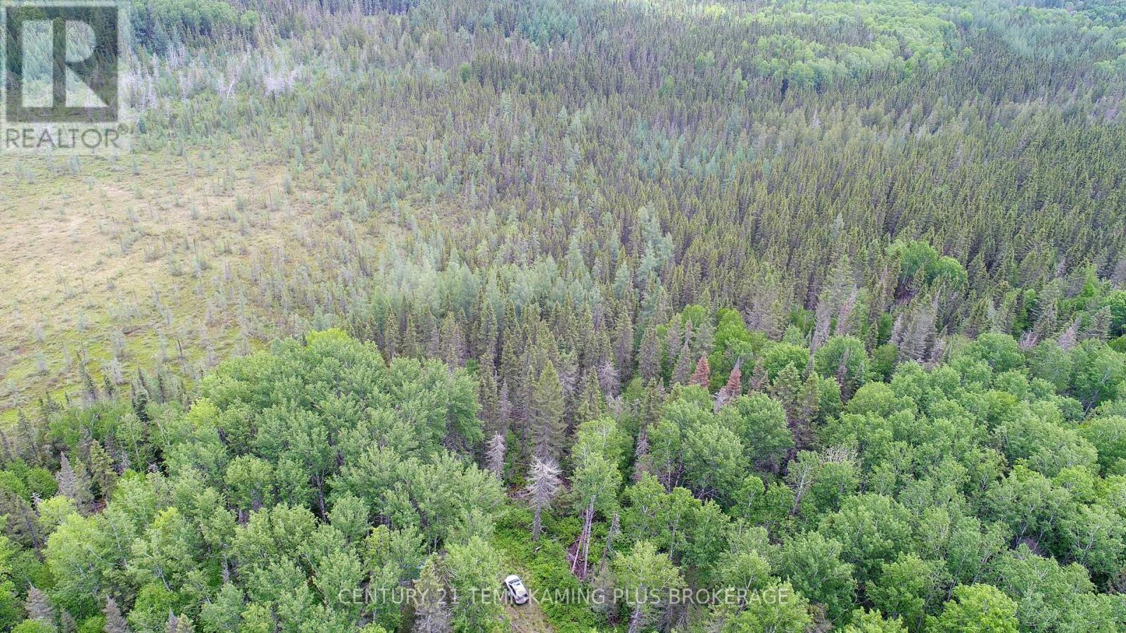 Pcl 17224 North Skead Bayly Road, Kirkland Lake, Ontario  P0K 1L0 - Photo 4 - T13447716