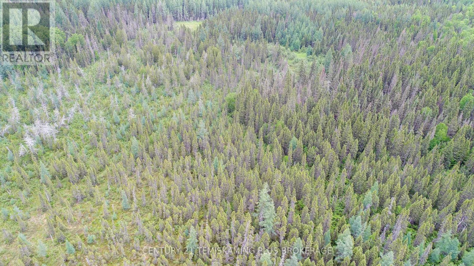 Pcl 17224 North Skead Bayly Road, Kirkland Lake, Ontario  P0K 1L0 - Photo 5 - T13447716