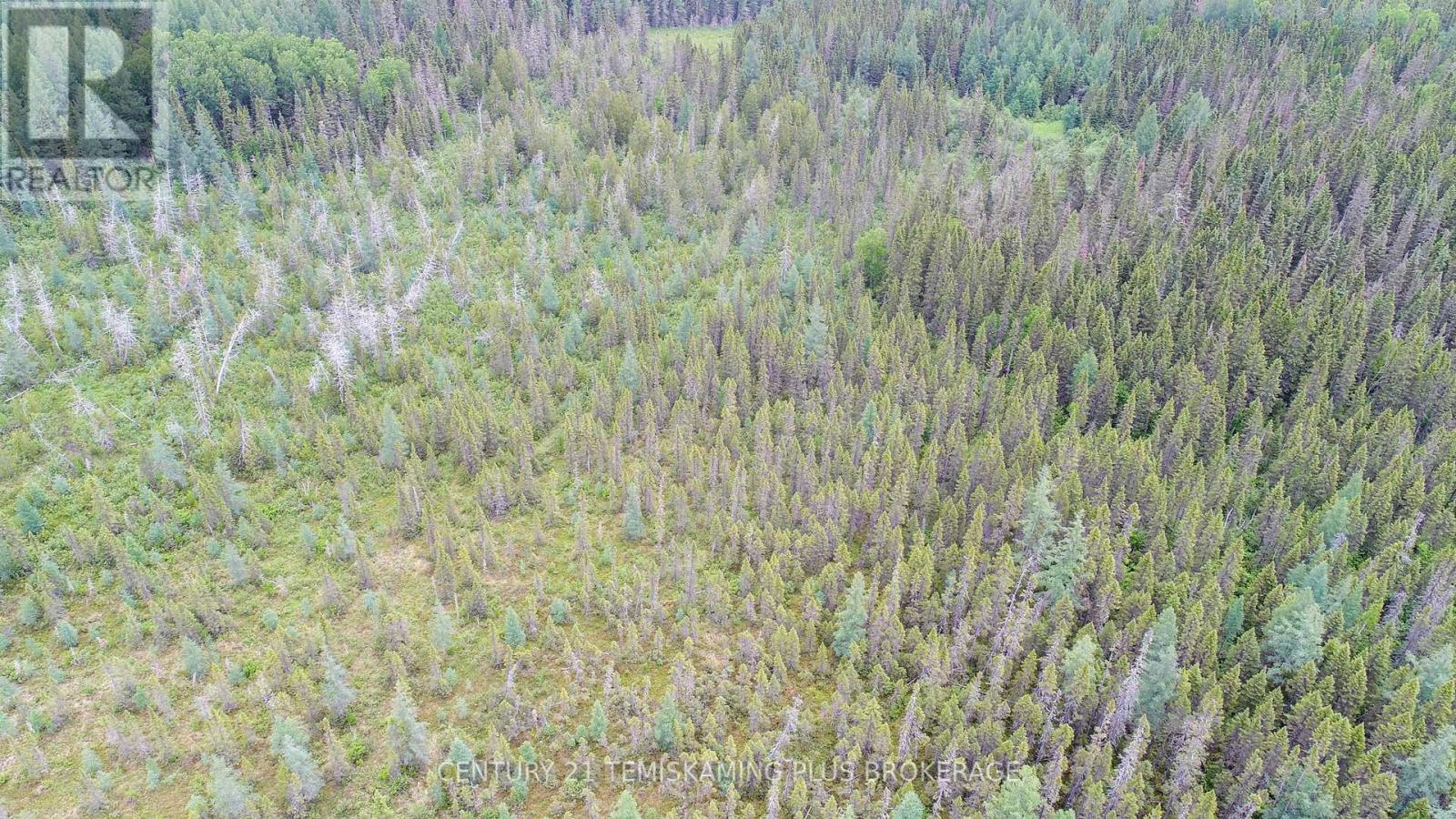 Pcl 17224 North Skead Bayly Road, Kirkland Lake, Ontario  P0K 1L0 - Photo 6 - T13447716