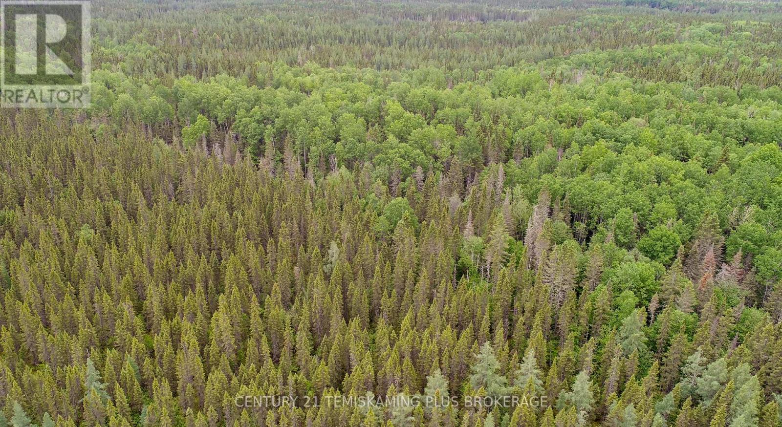 Pcl 17224 North Skead Bayly Road, Kirkland Lake, Ontario  P0K 1L0 - Photo 8 - T13447716