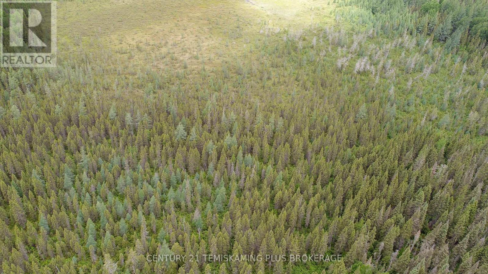 Pcl 17224 North Skead Bayly Road, Kirkland Lake, Ontario  P0K 1L0 - Photo 9 - T13447716