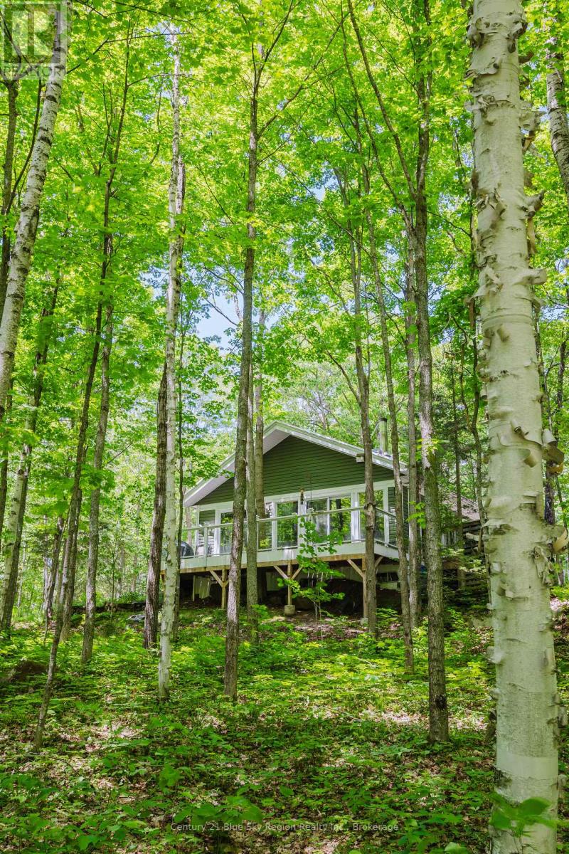 188 Grahamvale Road, Chisholm, Ontario  P0H 1B0 - Photo 26 - X13447454