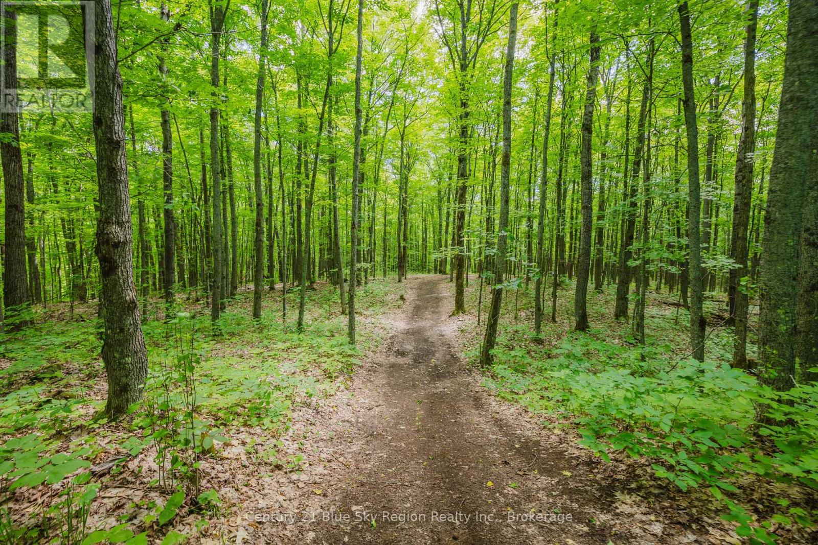 188 Grahamvale Road, Chisholm, Ontario  P0H 1B0 - Photo 23 - X13447454