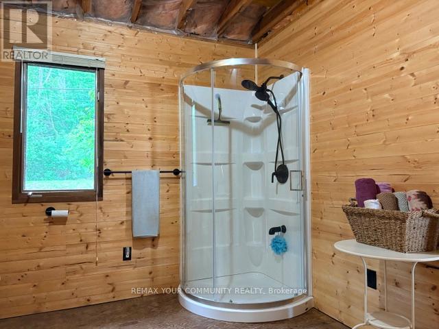 58 Snake Island Road, Georgina Islands, Ontario  L4P 3E9 - Photo 11 - N13447784