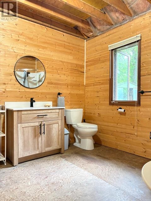 58 Snake Island Road, Georgina Islands, Ontario  L4P 3E9 - Photo 12 - N13447784