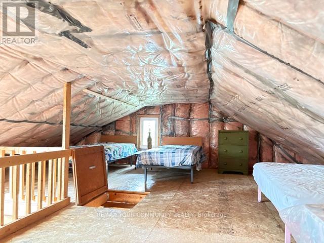 58 Snake Island Road, Georgina Islands, Ontario  L4P 3E9 - Photo 19 - N13447784