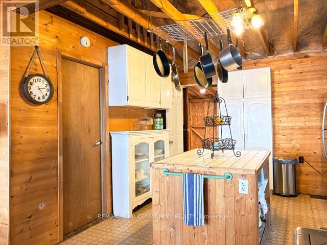 58 Snake Island Road, Georgina Islands, Ontario  L4P 3E9 - Photo 7 - N13447784