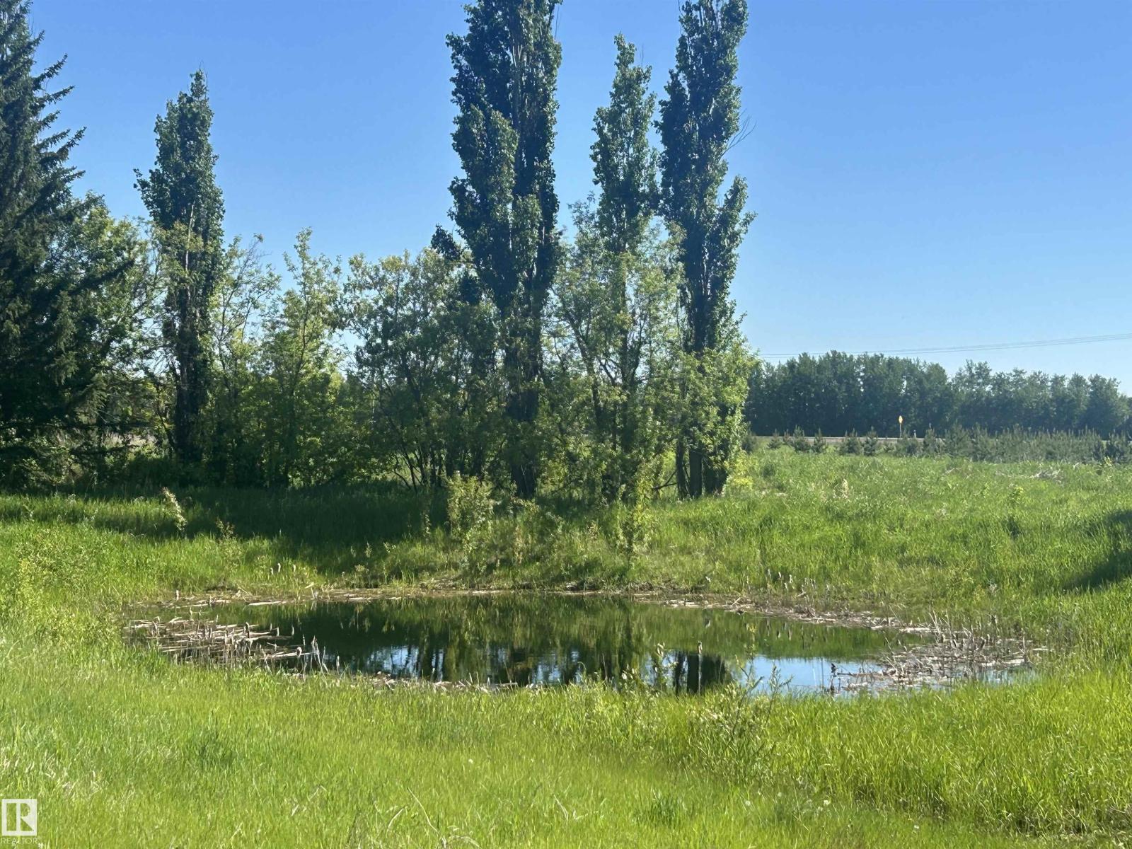 27510 Hwy 37 Hi, Rural Sturgeon County, Alberta  T8R 0J2 - Photo 68 - E4473338